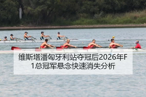 wei-si-ta-pan-xiong-ya-li-zhan-duo-guan-hou-nian-zong-guan-jun-xuan-nian-kuai-su-xiao-shi-fen-xi-3-185.jpg